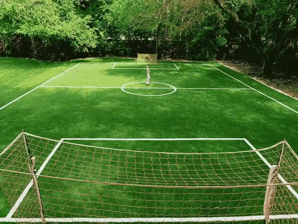 backyard soccer field by top turf products