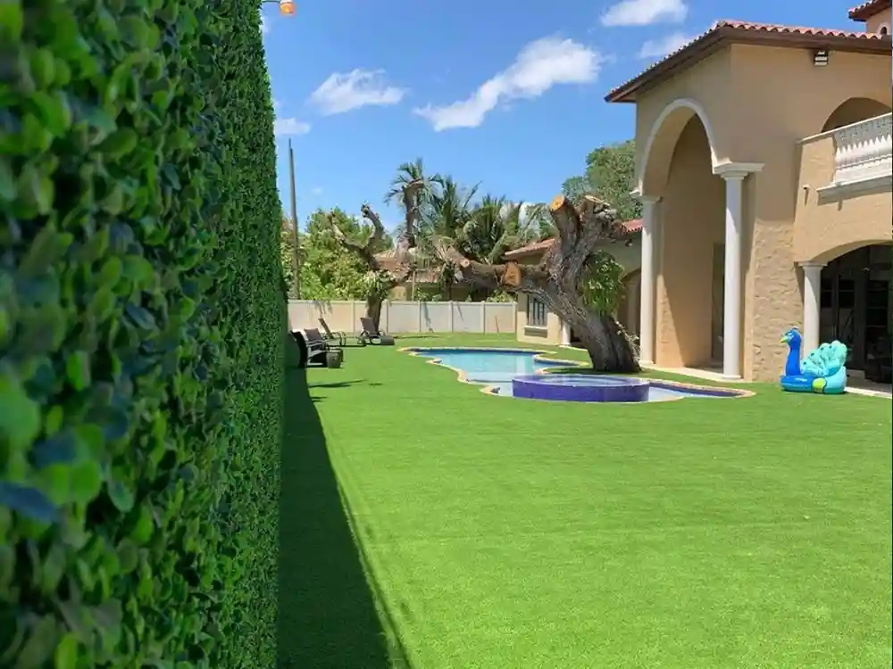 house backyard with artificial grass portfolio image