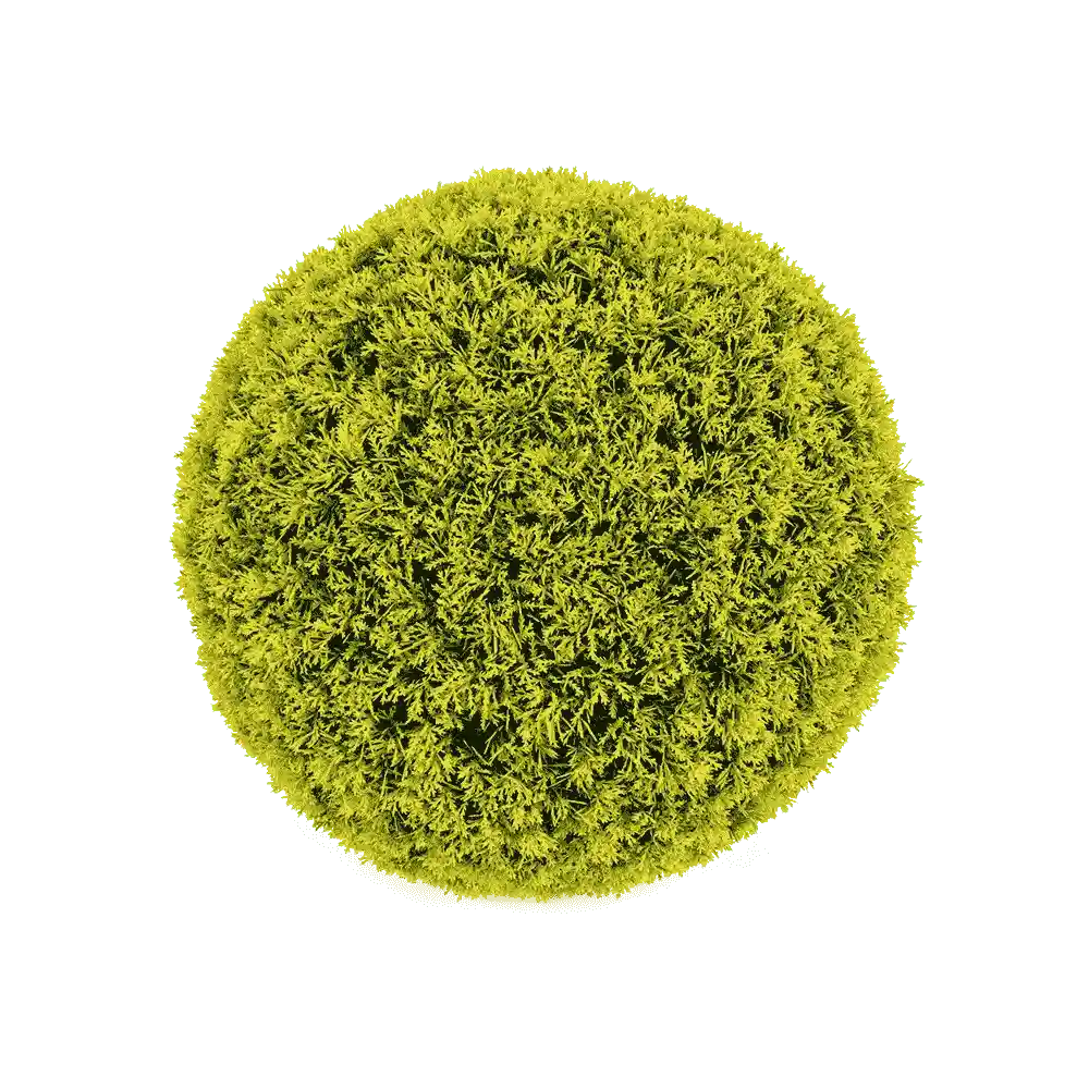 Ball Cypress 12 top turf product image
