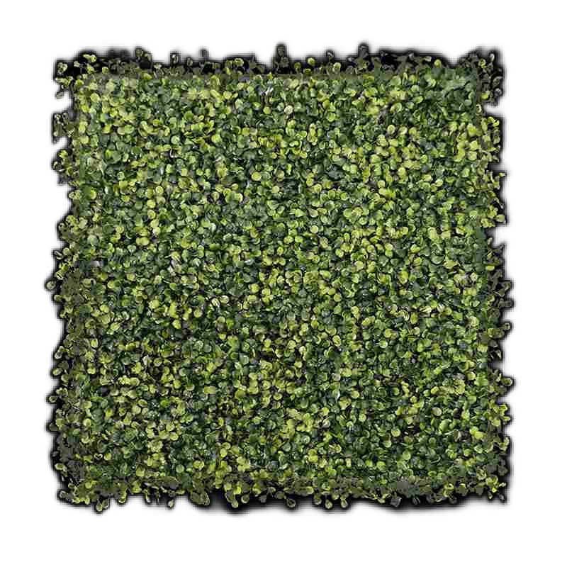 Wall Amazon Olive Top Turf product image