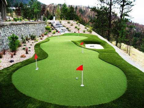 Backyard residential artificial putting green